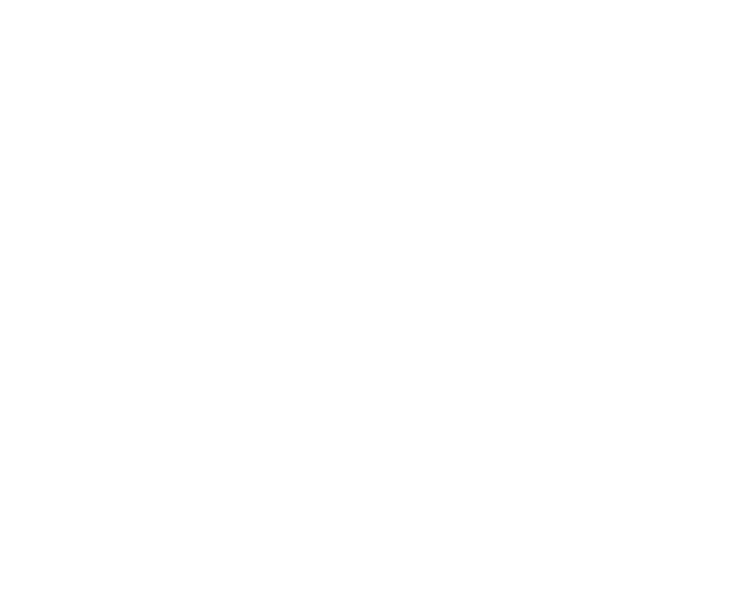 BiblioRus Logo